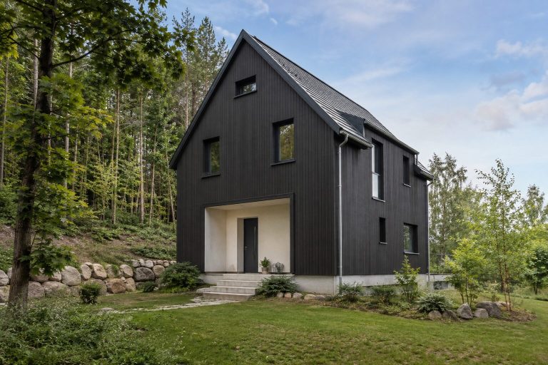 Dunkles Holzhaus Dunkles Holzhaus mit steilem Dach